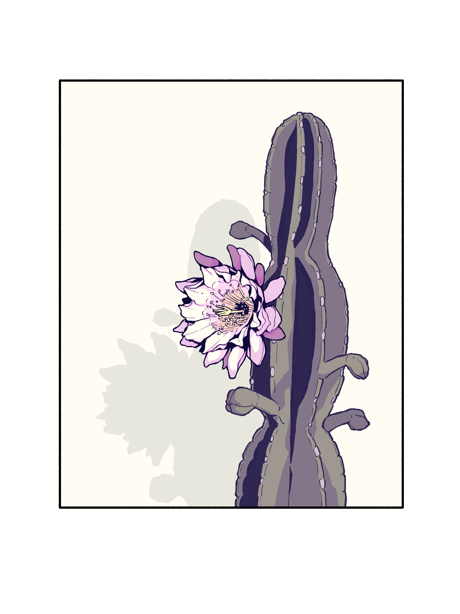 A drawing of pink flower blooming on a cactus